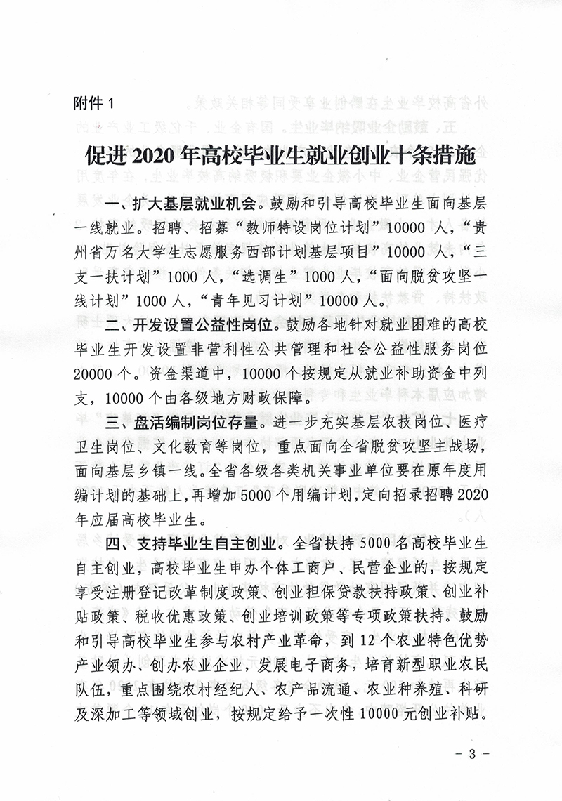 《促进2020年高校毕业生就业创业十条措施》(图3)