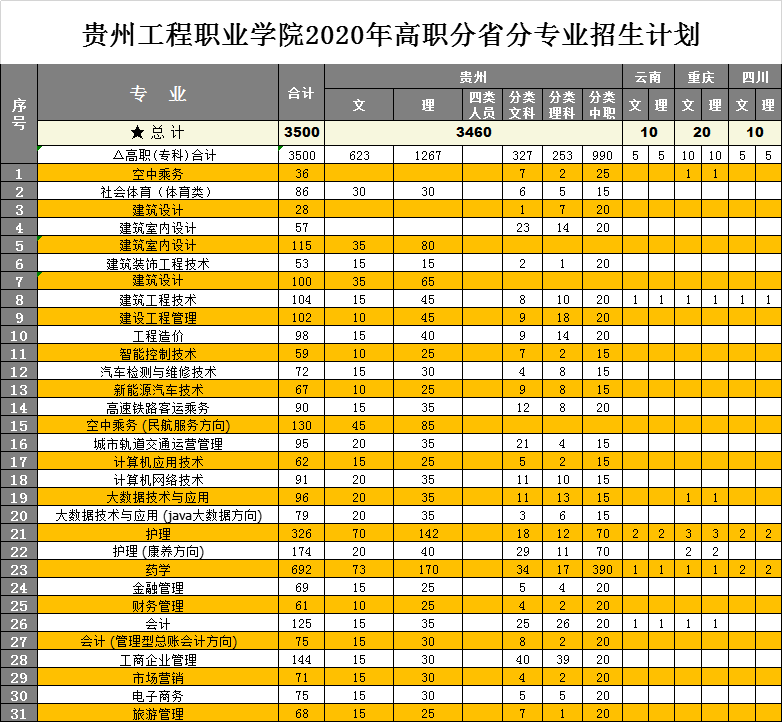 华体会官网地址 - (中国)科技有限公司2020年高职分省分专业招生计划(图1)