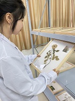 传承天然药物古韵 ，珍爱魅力自然——药学院第一届标本展(图5)